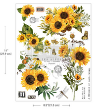Load image into Gallery viewer, Redesign with Prima H2O Single Sheet Transfer - Rustic Amber Petals
