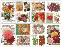 Load image into Gallery viewer, IOD Decor Transfer Pad 20 x 30.5cm  - Seed Catalogue (8 sheets)
