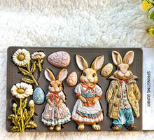 Load image into Gallery viewer, Redesign with Prima Moulds - Springtime Bunny
