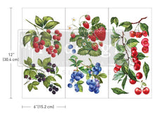 Load image into Gallery viewer, Redesign with Prima Transfer Mini - Sweet Berries
