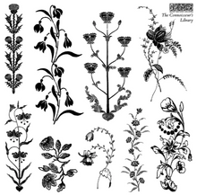 Load image into Gallery viewer, IOD Decor Stamp 15.5 x 15.5cm - The Connosseur's Library Labels (Mini Stamp - 4 Sheets)
