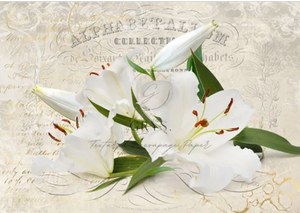 White Lilies Decoupage Paper- A1 size