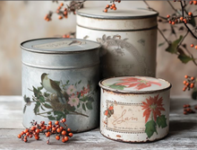 Load image into Gallery viewer, IOD Decor Transfer Pad 20 x 30.5cm - Winter Botanist (8 Sheets)

