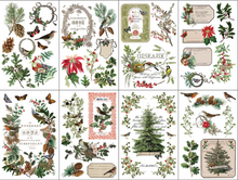 Load image into Gallery viewer, IOD Decor Transfer Pad 20 x 30.5cm - Winter Botanist (8 Sheets)
