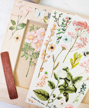 Load image into Gallery viewer, Redesign with Prima Mini Transfer - Botanical Paradise
