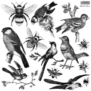 IOD Decor Stamp 30.5 x 30.5cm - Birds & Bees (with masks)