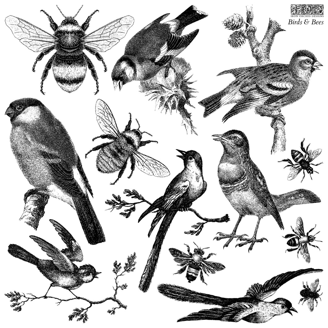 IOD Decor Stamp 30.5 x 30.5cm - Birds & Bees