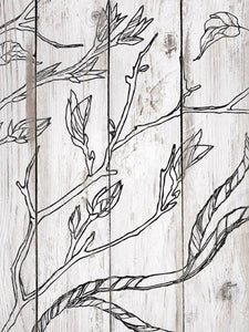 IOD Decor Stamp 30.5 x 30.5cm - Branches and Vine (with masks)