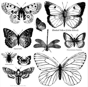 IOD Decor Stamp 30.5 x 30.5cm - Butterflies