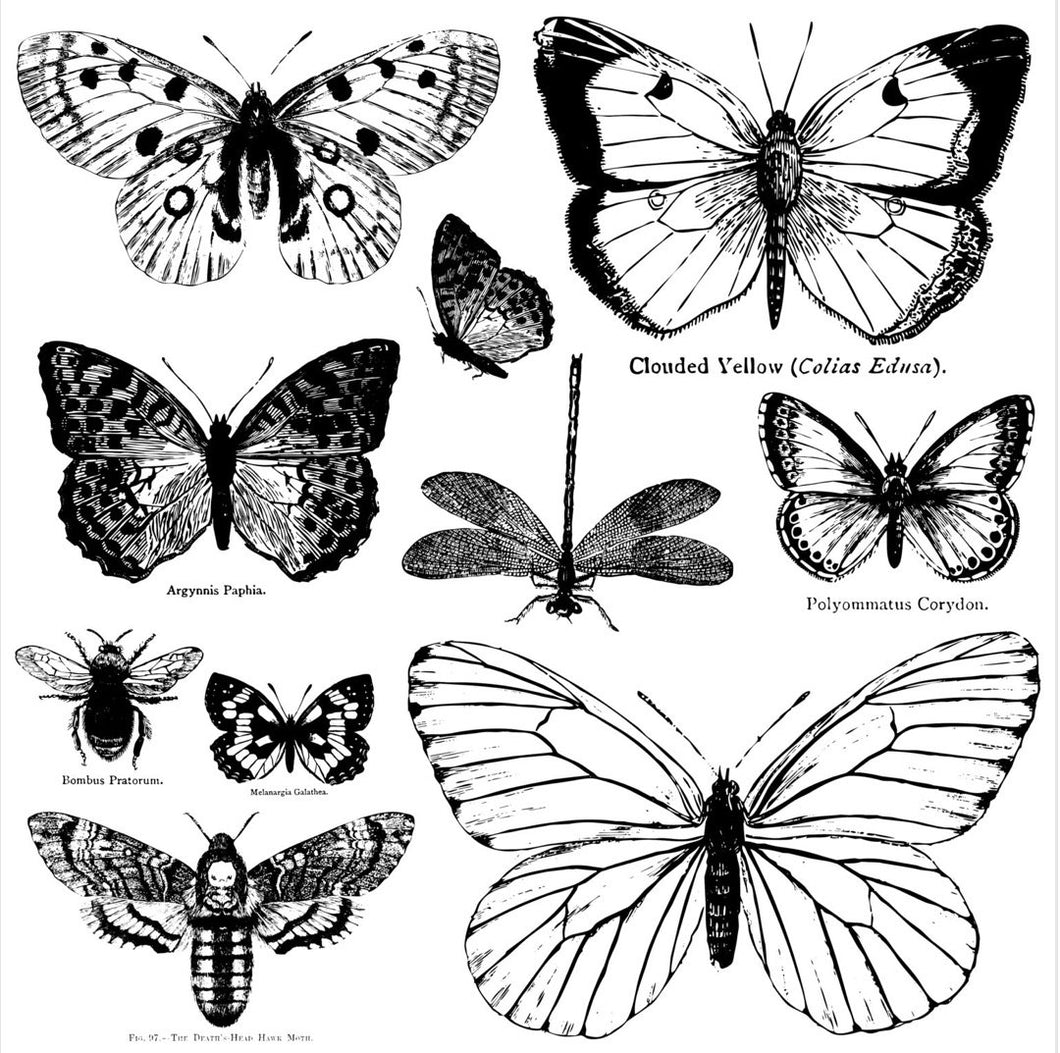 IOD Decor Stamp 30.5 x 30.5cm - Butterflies