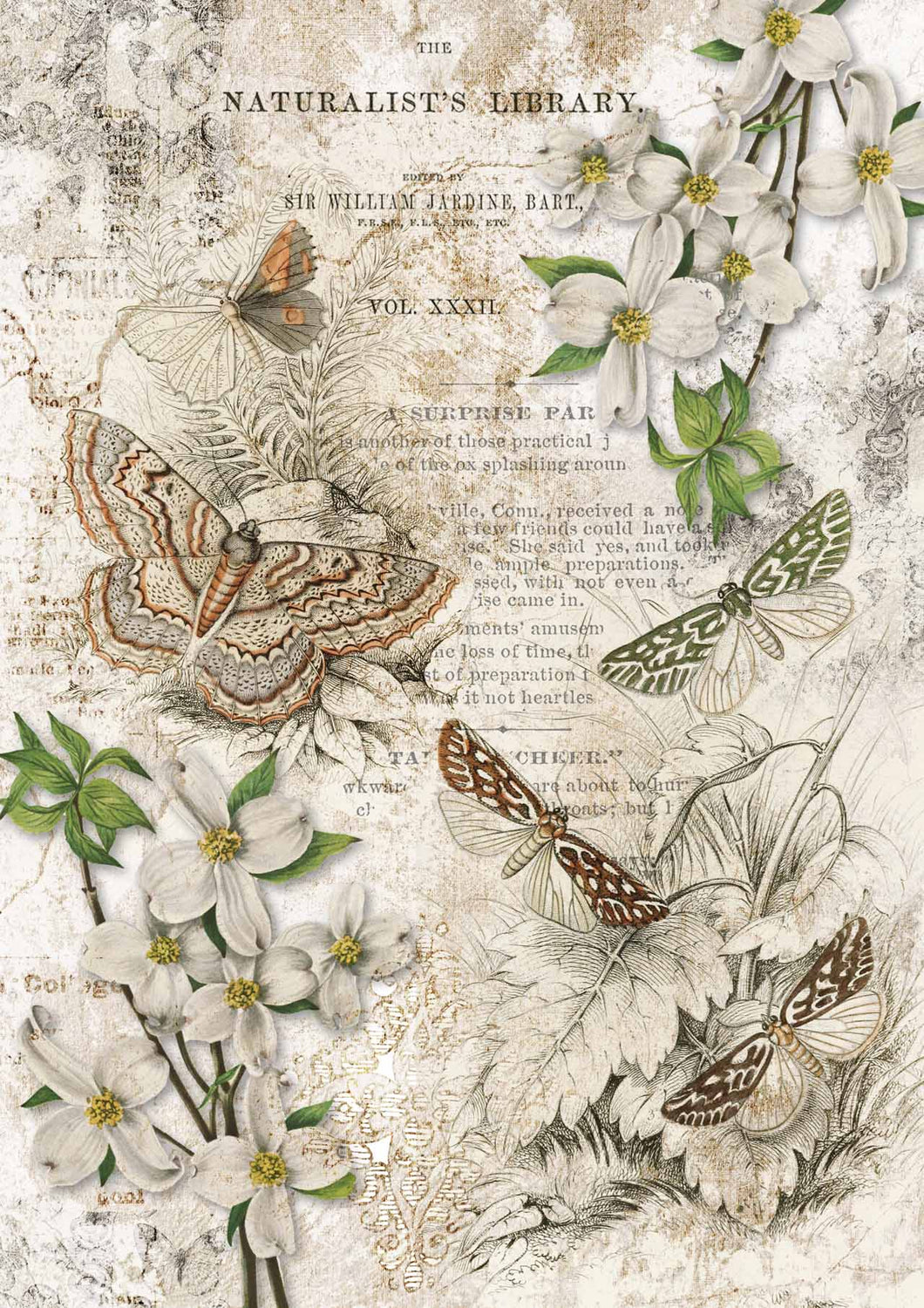 Decoupage Queen A3 Rice Paper - Naturalist Library