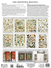Load image into Gallery viewer, IOD Decor Transfer Pad 31 x 41cm  - Millot’s Page  (8 sheets)
