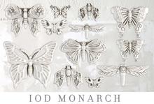 IOD Decor Mould 25 x 15cm - Monarch