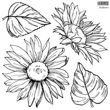 IOD Decor Stamp 30.5 x 30.5cm - Sunflowers (2 sheets and masks)