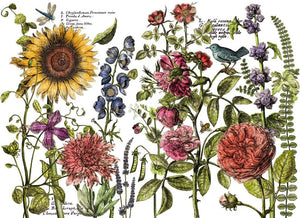 IOD Decor Transfer Pad 31 x 41cm - Botanist Journal (4 Sheets)