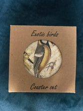 Load image into Gallery viewer, Coasters Set of 4 - Exotic Birds
