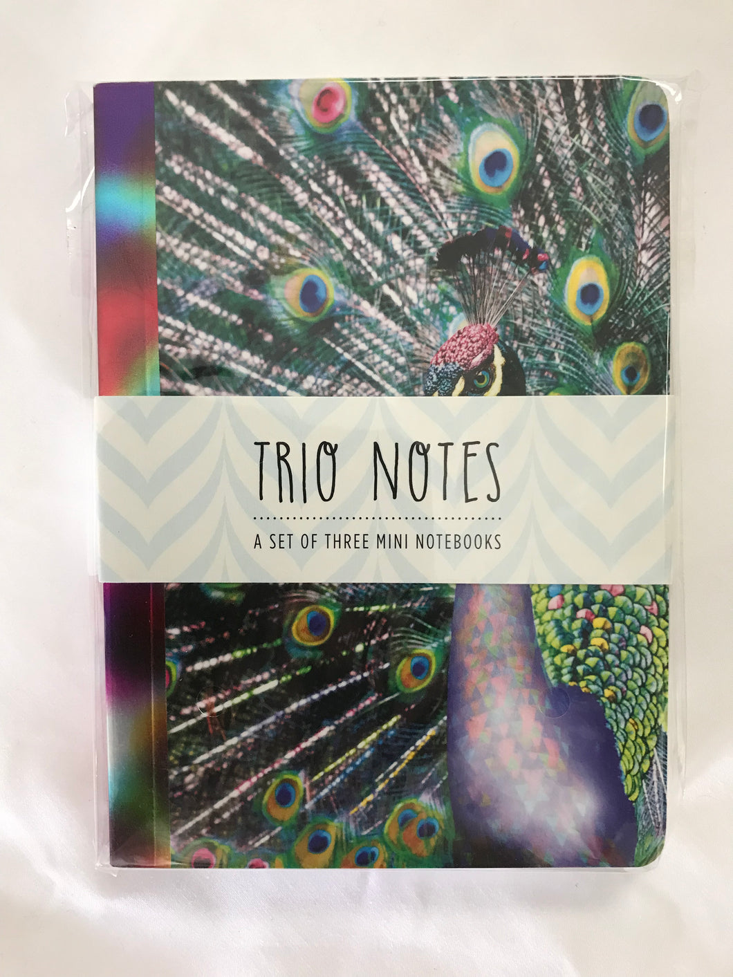 Trio Notes - Vivid
