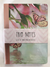 Load image into Gallery viewer, Trio Notes - Butterflies
