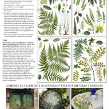Load image into Gallery viewer, IOD Decor Transfer Pad 31 x 41cm  - Frond Botanical (4 Sheets)
