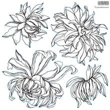 IOD Decor Stamp 30.5 x 30.5cm - Chrysanthemums (2 Sheets and masks)