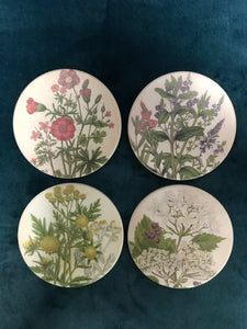 Coasters Set of 4 - Medicinal Plants
